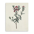20 Singular Red Blossom Branch Canvas Wall Art