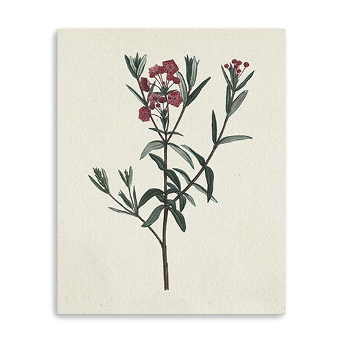 20 Singular Red Blossom Branch Canvas Wall Art