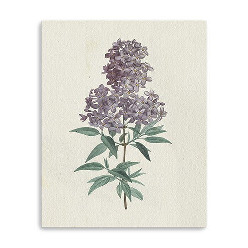 20 Singular Purple Blossom Branch Canvas Wall Art