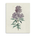 30 Singular Purple Blossom Branch Canvas Wall Art