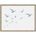 Seagulls White Background by Jolly and Dash Framed Wall Art Print