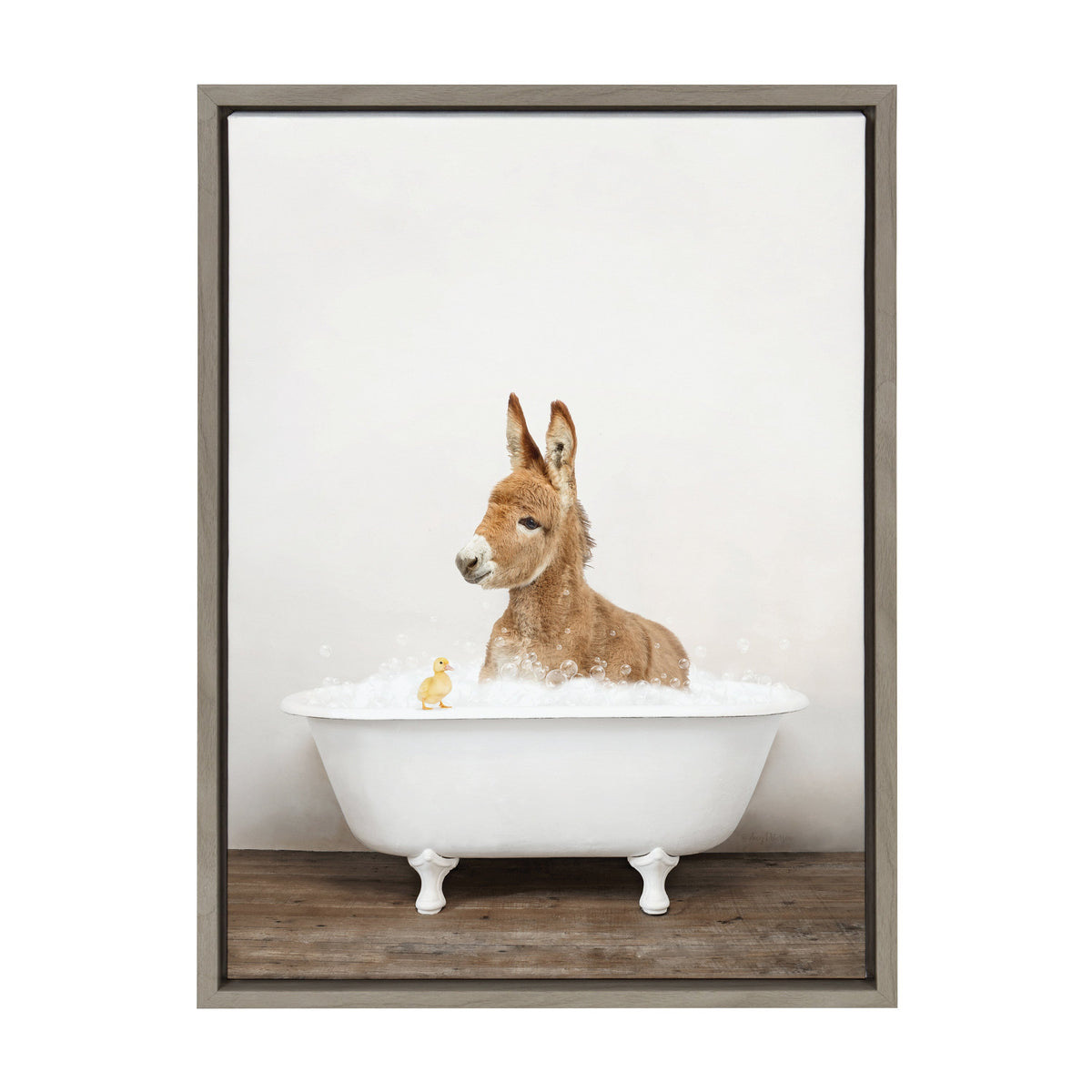 Sylvie Baby Donkey in Rustic Bath Framed Canvas by Amy Peterson Art Studio