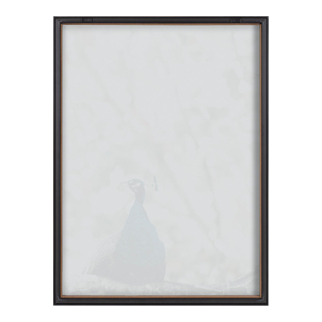 Blake Peacock Framed Printed Glass by Alicia Abla