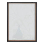 Blake Peacock Framed Printed Glass by Alicia Abla