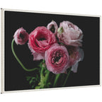 Sylvie Mood Dark Pink Ranunculus Flower Bouquet Framed Canvas by Kristy Campbell