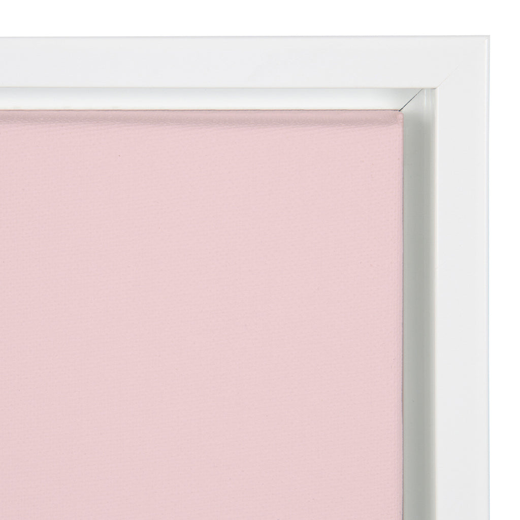 Sylvie Pink Zebra Framed Canvas by Dominique Vari