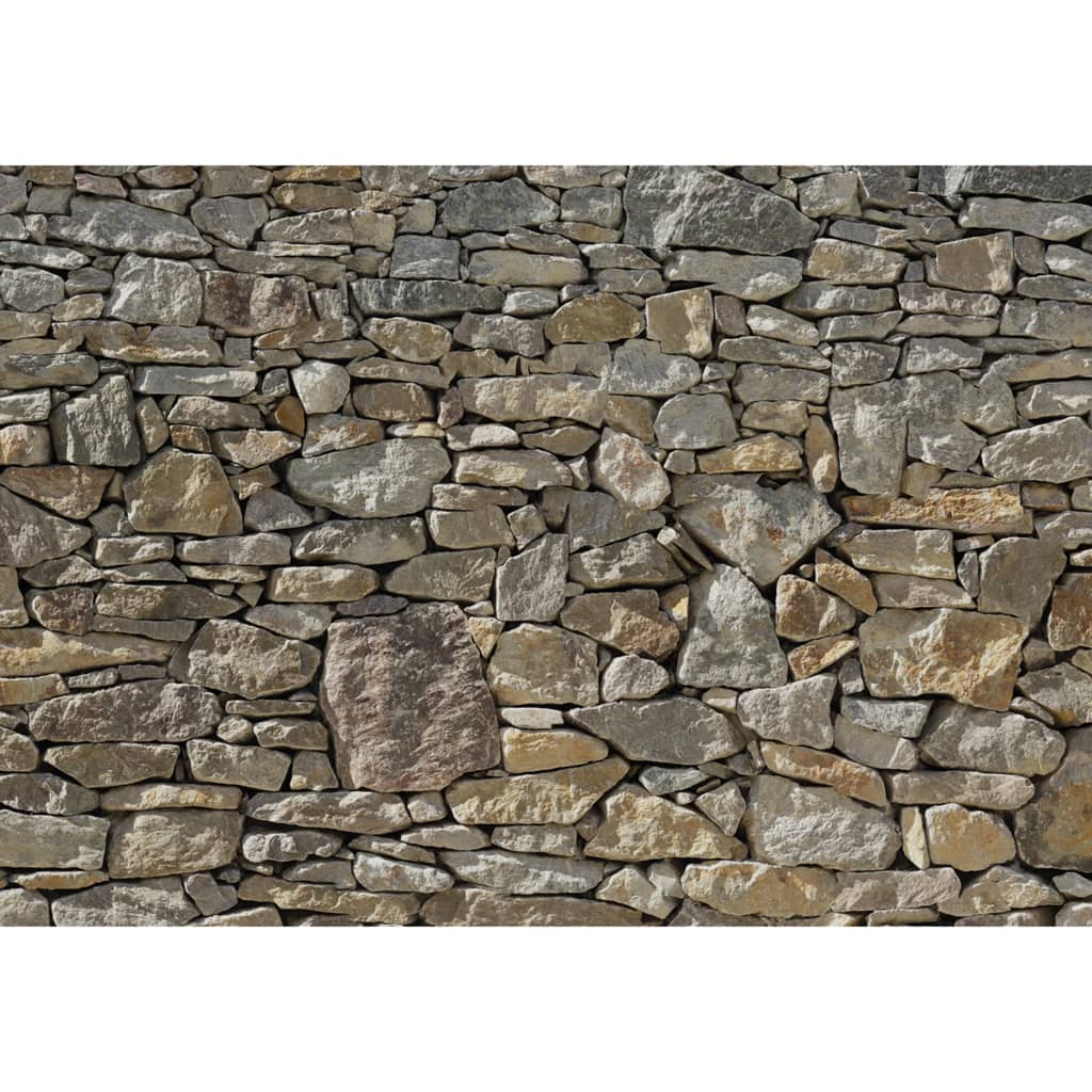Komar Photo murale Stone Wall 368 x 254 cm 8-727