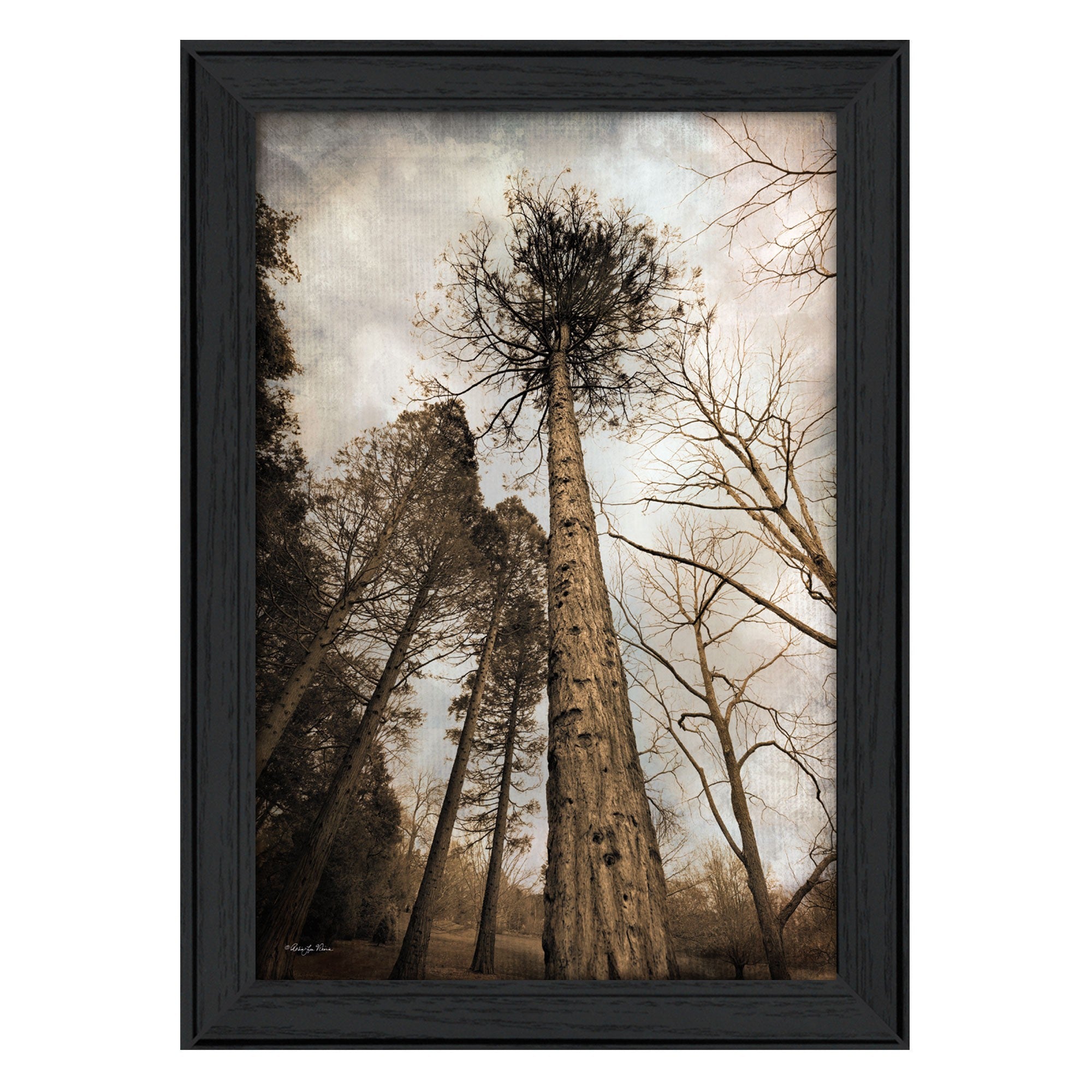 Skys The Limit Black Framed Print Wall Art