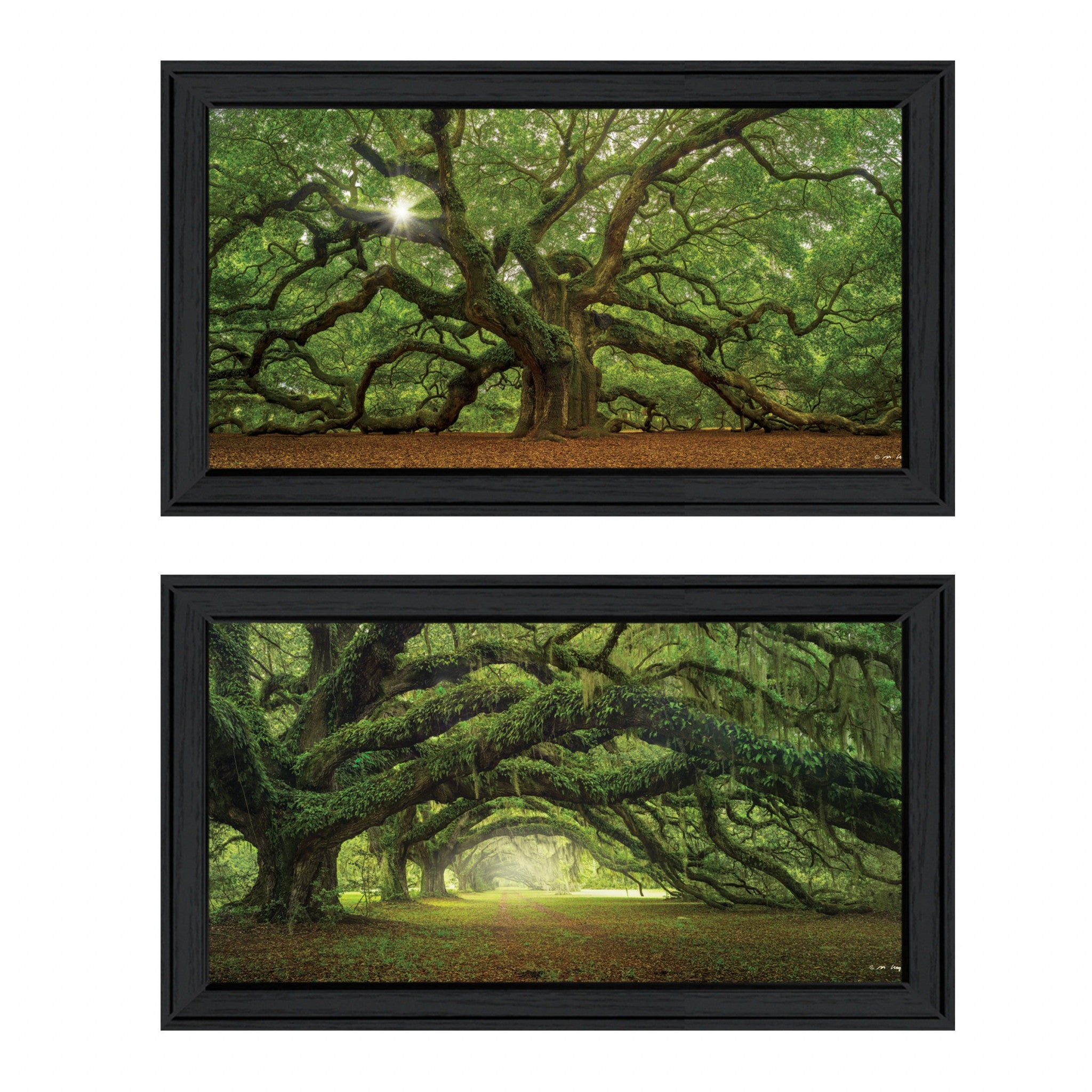 Set Of Two Tree Arbors 2-Piece By Moises Levy Black Frame Black Framed Print Wall Art
