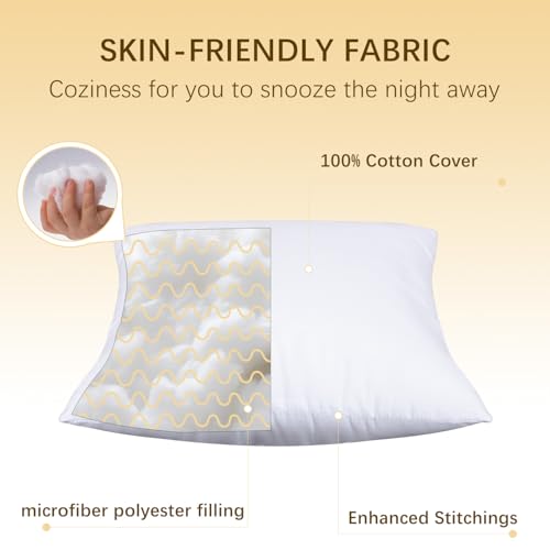 Okba Throw Pillows Insert Set Of 2, With 100% Cotton Cover, Bed And Couch - Indoor Hotel Decorative Pillows, 12X20 In White Pill