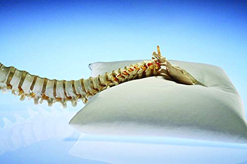 Sobakawa Queen Buckwheat Pillow - Organic Cotton, Cool Sleep Technology, Neck Support for Back/Side Sleepers, White Meditation Cushion