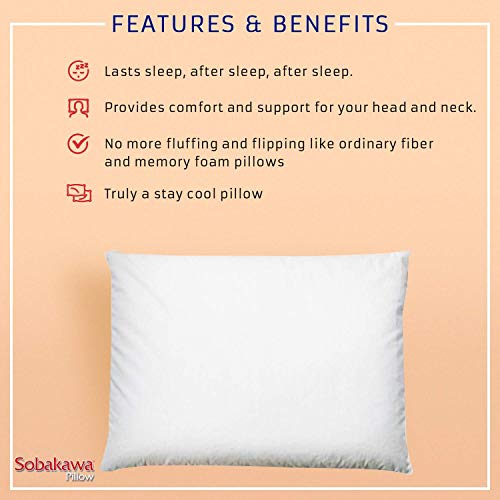 Sobakawa Queen Buckwheat Pillow - Organic Cotton, Cool Sleep Technology, Neck Support for Back/Side Sleepers, White Meditation Cushion