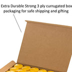 Candle Charisma Citronella Scented Votive Candles - 10 Hour Burn Time - Set Of 72 For Dinner, Wedding, Halloween And Holiday Dec