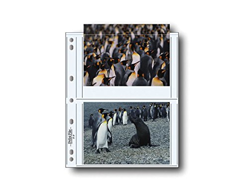 Print File 57-4P 5X7In. Photo Pages (25 Pack)