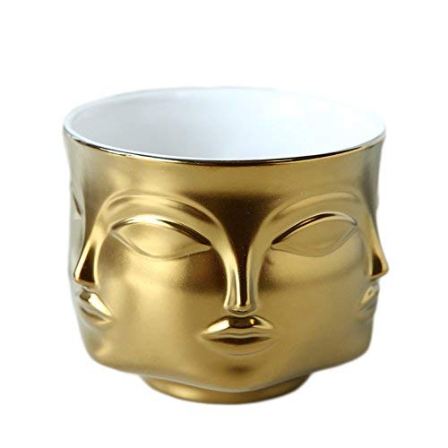 Poitemsic Ceramic Gold Face Planter Head Face Vase Home Decoration Succulent Cactus Indoor Plant Pot Versatility Designs