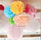Life Glow 12Pcs Pom Poms Of 10'' 12'' 14'' Multi-Colors Tissue Paper Craft Pom Poms Kit Tissue Paper Flowers Wedding Decorations