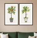 Set Of Two Fruit Topiary Black Framed Print Wall Art