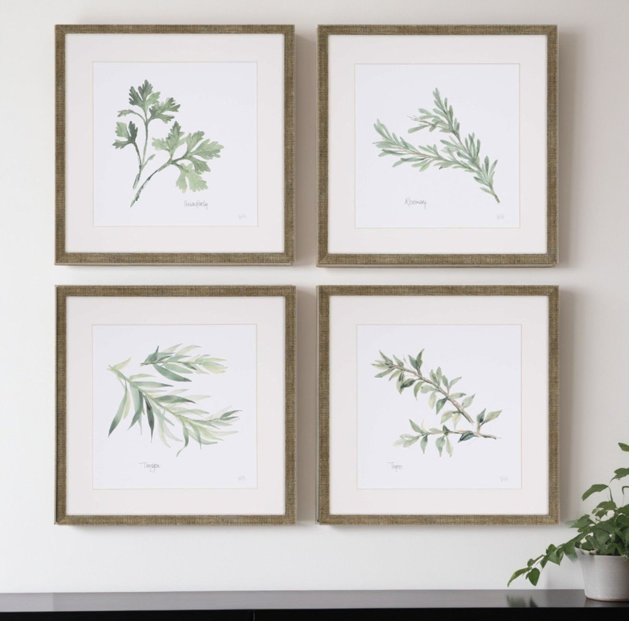 Set Of Four Herbs Gold Framed Print Wall Art
