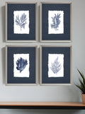 Set Of Four Coral Silver Framed Print Wall Art