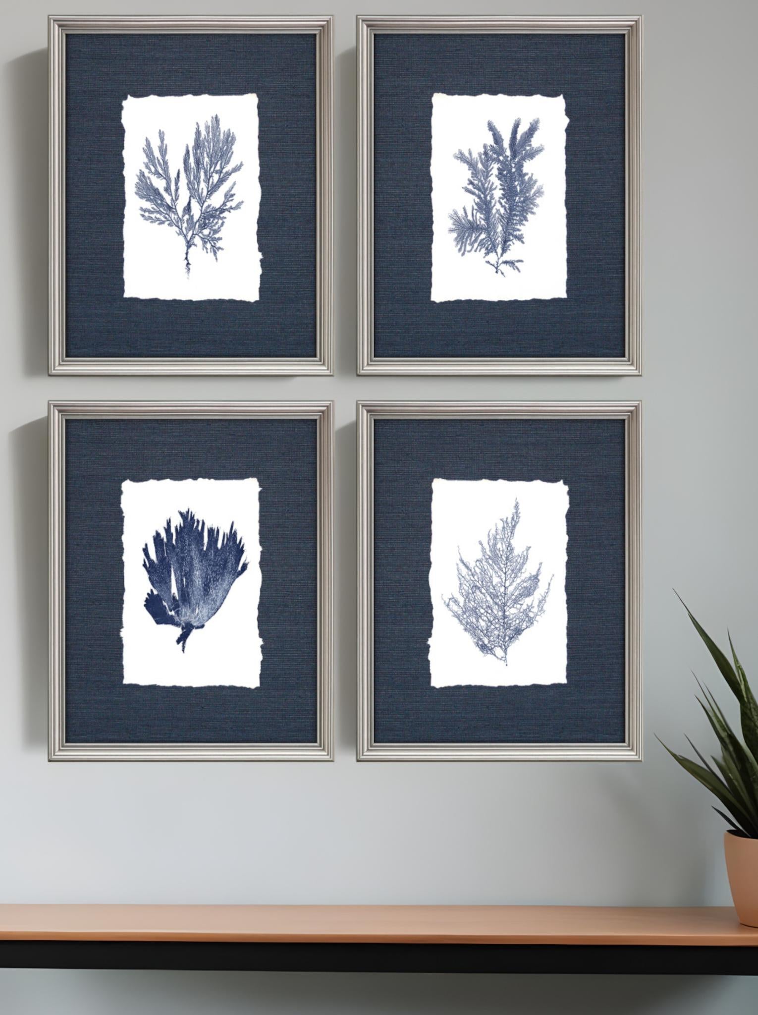 Set Of Four Coral Silver Framed Print Wall Art