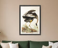 Great Blue Heron Framed Art Brown Picture Frame Print Wall Art