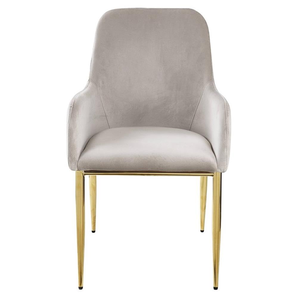 Acme Barnard Velvet Upholstery Side Chair in Gray and Mirrored Gold (Set of 2)