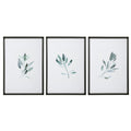 Uttermost Simple Sage Watercolor Prints, Set/3, Multicolor, (33723)