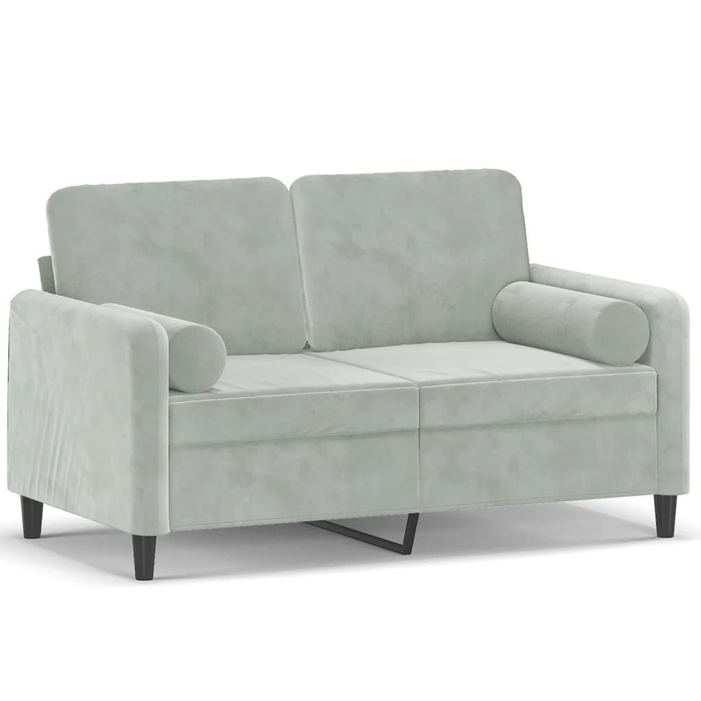 vidaXL Light Gray 2-Seater Velvet Sofa with Throw Pillows, Modern Design, Densely Piled Fabric, Sturdy Metal Frame, Easy to Clean