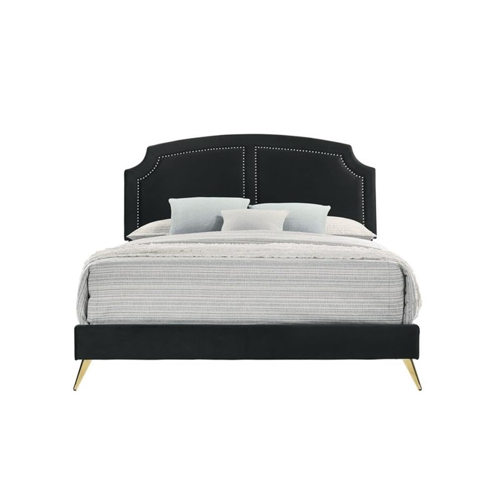 Acme Zeena Eastern King Bed in Black Velvet