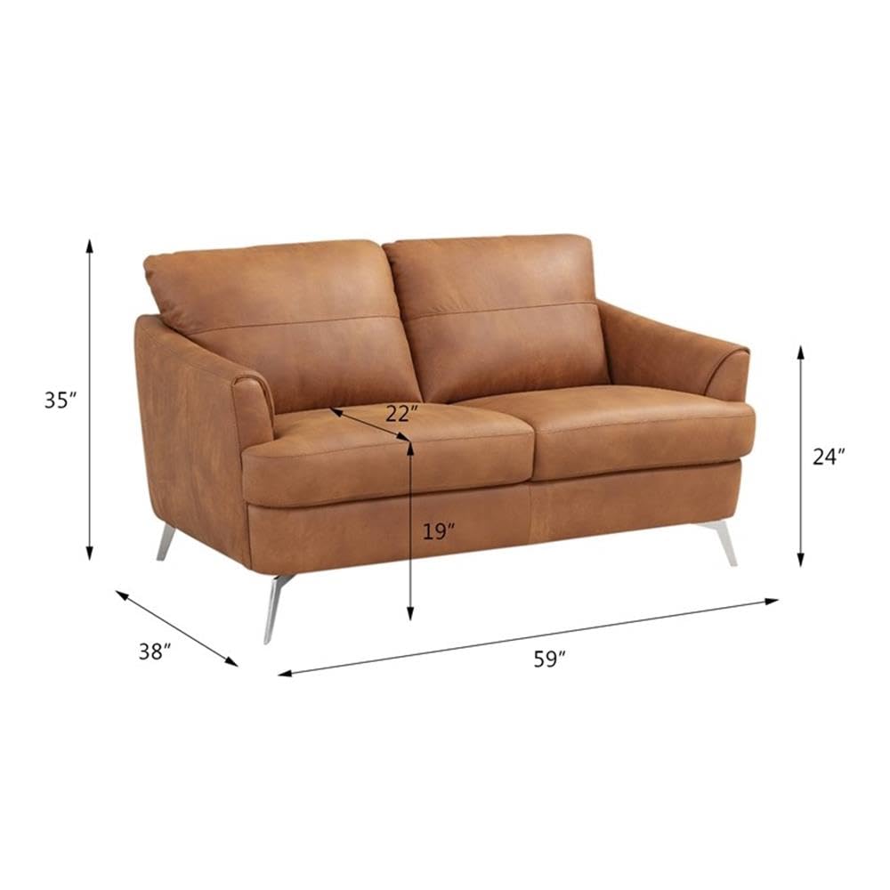 Acme Safi Loveseat in Cappuccino Leather
