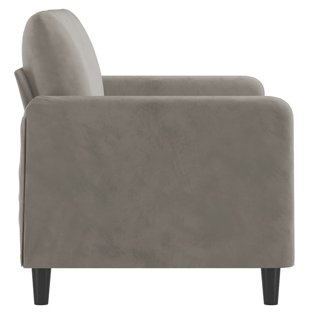 vidaXL Light Gray Sofa - 2-Seater - Comfortable Velvet Fabric Upholstery - Robust Plywood and Metal Frame - Modern and Chic - Ideal for Homes and Apartments