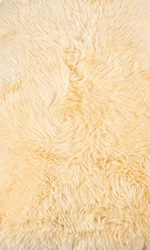 HomeRoots 2' X 3' Cream New Zealand Natural Sheepskin Rug