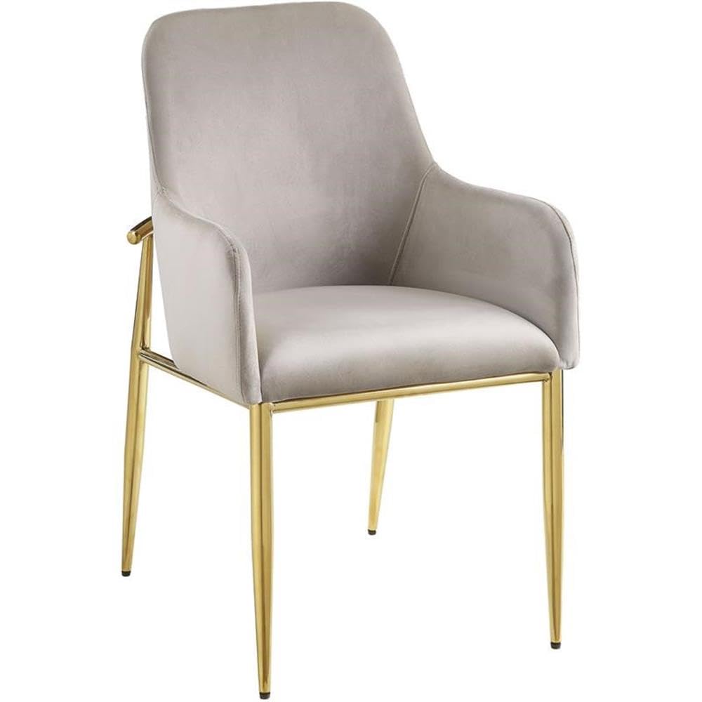 Acme Barnard Velvet Upholstery Side Chair in Gray and Mirrored Gold (Set of 2)