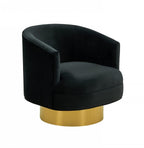 HomeRoots Modern Black and Gold Velvet Accent Chair