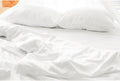 Queen Bed Sheet Set 100% Organic Cotton GOTS Certified Queen Flat Sheet, Fitted Sheet and Pillowcase Snow White