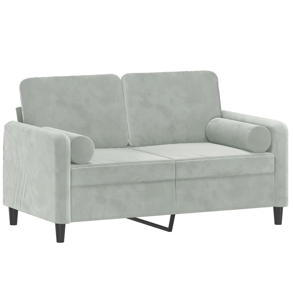 vidaXL Light Gray 2-Seater Velvet Sofa with Throw Pillows, Modern Design, Densely Piled Fabric, Sturdy Metal Frame, Easy to Clean