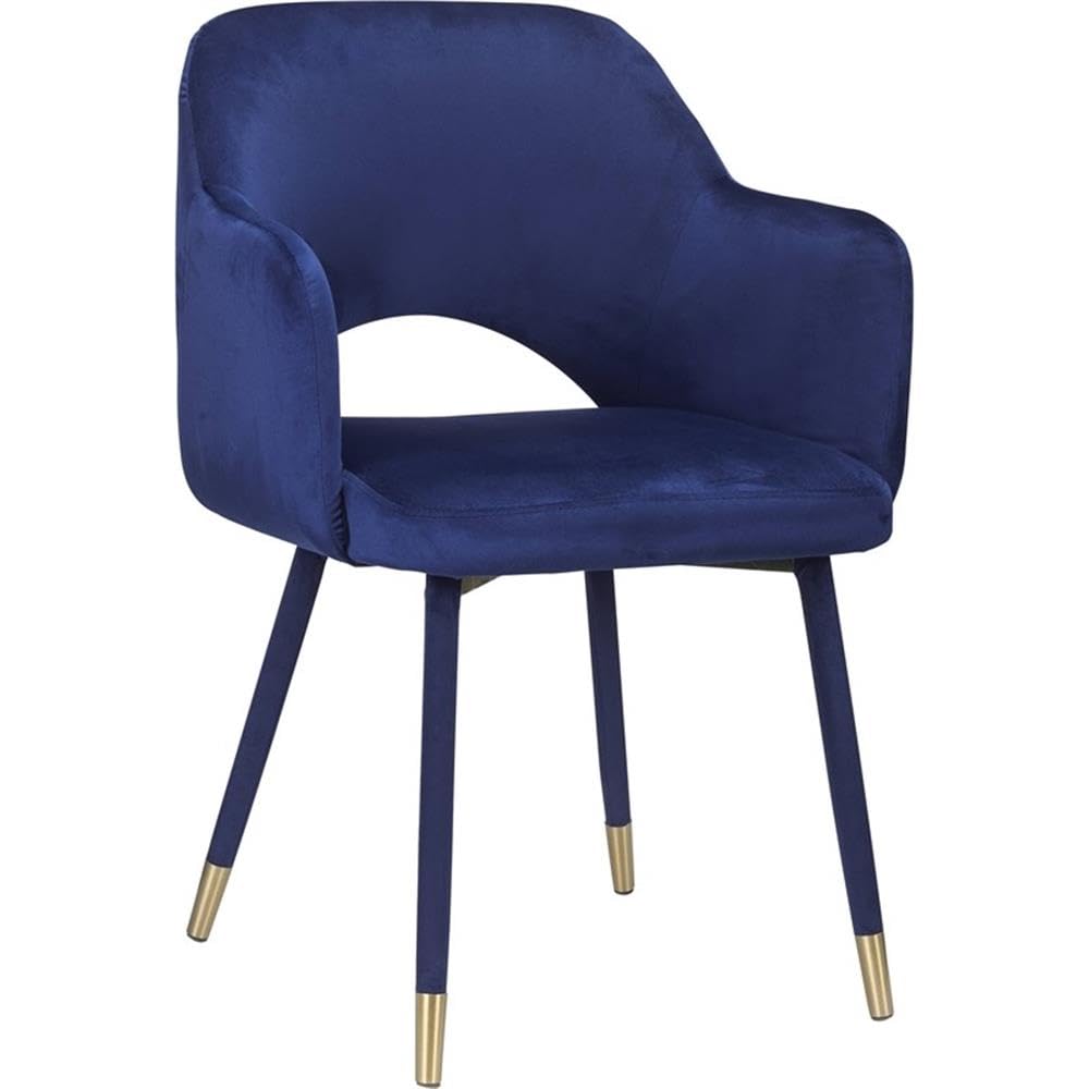 Acme Applewood Accent Chair in Ocean Blue Velvet & Gold