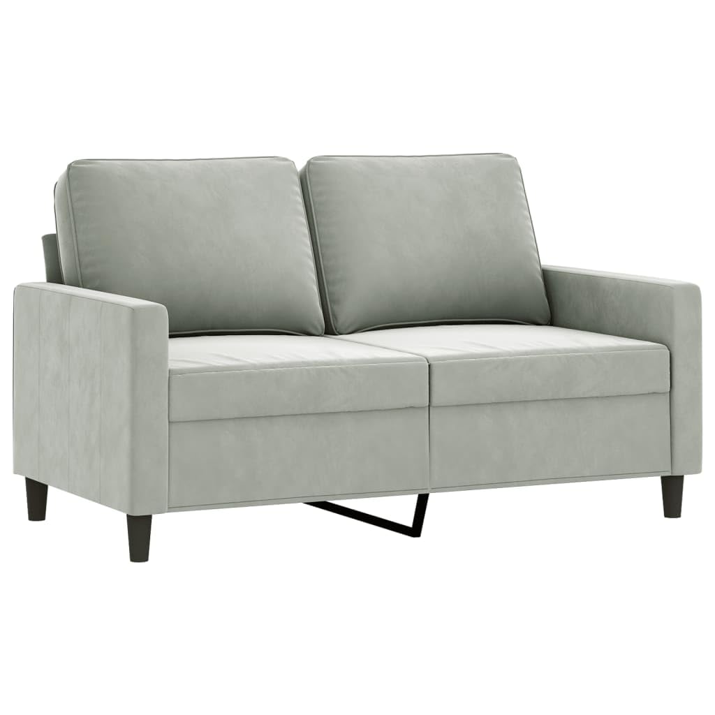 vidaXL Two-Piece Sofa Set in Light Gray Velvet - Comfortably Padded for Relaxation with Sturdy Frame Design