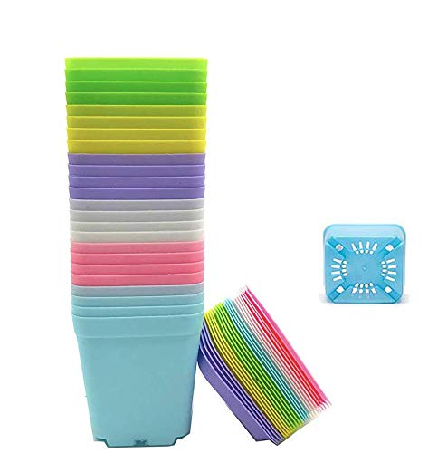 Anyumocz 24 Pack 3Inch Multi Color Square Plastic Plant Pots,Seedling Nursery Transplanting Planter Container Indoor Outdoor For