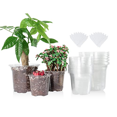 36 Packs 5/4/3.5 Inch Reinforced Clear Nursery Pots With Drainage Hole, Transparent Variety Pack Plastic Plant Pot Seedling Plan