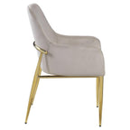Acme Barnard Velvet Upholstery Side Chair in Gray and Mirrored Gold (Set of 2)