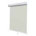 Sunfree Blackout Roller Shades Window Shades Cordless Blackout Window Blinds with Thermal Insulated for Bedroom,Office,48 W x 72