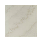 acme Telestis End Table, White Marble & Black/Industrial/White Marble & Black