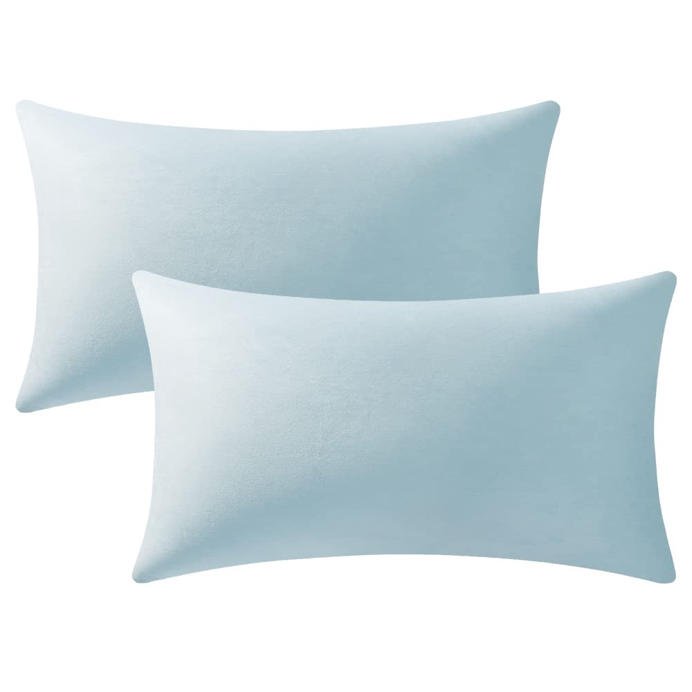Dezene Throw Pillow Cases 12X20 Light-Blue: 2 Pack Cozy Soft Velvet Rectangular Decorative Pillow Covers For Farmhouse Home Deco