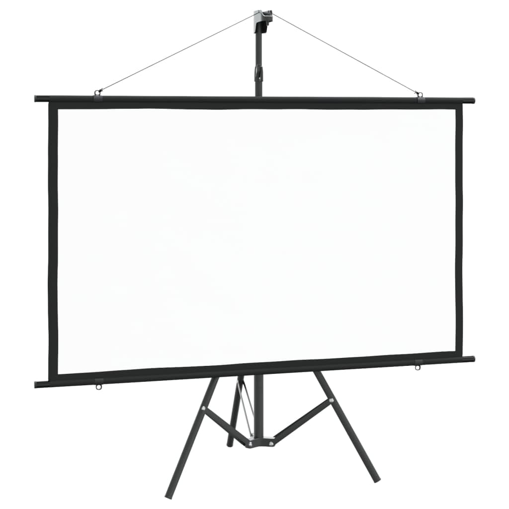 vidaXL Projection Screen, Home Theater Screen, Pull-Down Projector Screen, Movie Projector Screen for Office School Meeting Room