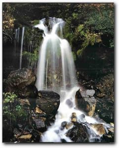 Waterfall and Stream in The Tropical Forest Scenery Wall Decor Art Print Poster (16x20)