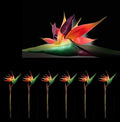 AMERIQUE PCS Pack of 6 Gorgeous 43 Touch Bird of Paradise Artificial Silk Sprays, Feel Real Tech, Large Permanent Flower, Super 