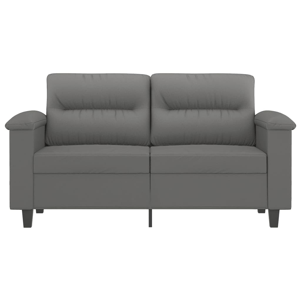 vidaXL Dark Gray 2-Seater Sofa with 100% Polyester Microfiber Upholstery, Modern Design for Living Room or Lounge, Foam-Padded Seats for Comfort - Assembly Required'