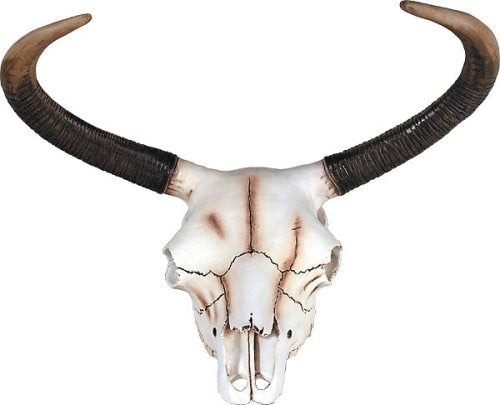 Whimsical Treasures Afd Bull Skull