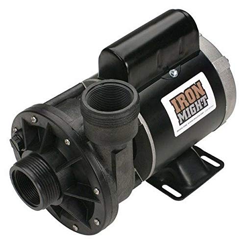 Waterway Plastics 3410030-1E Pump, 115-Volt